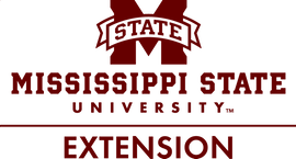 MSU Extension Logo
